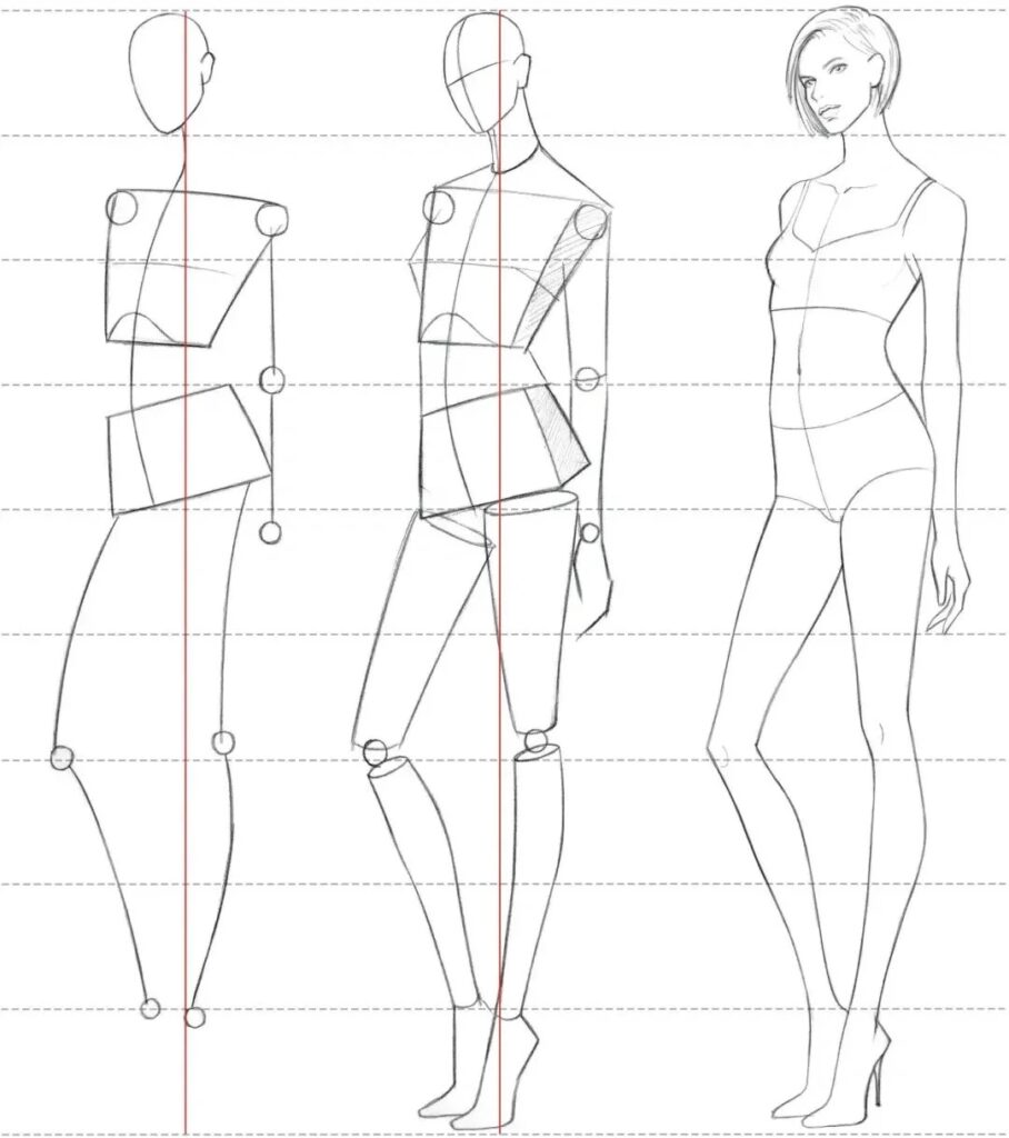 Construct 3D Shapes for Body Parts