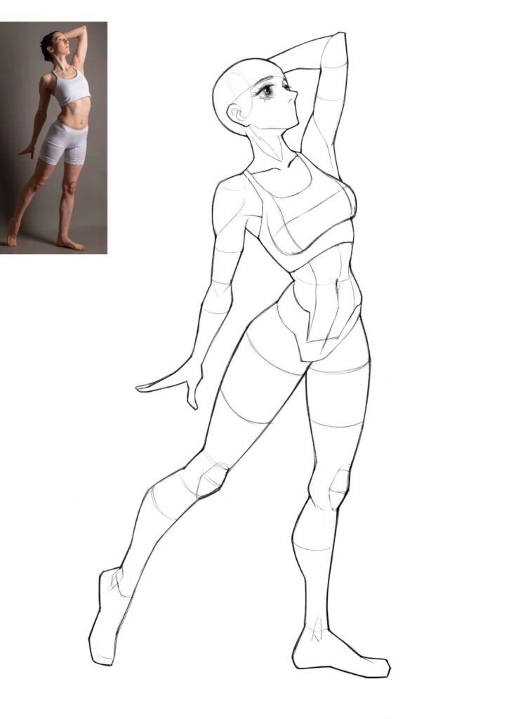Female Body Drawing Details