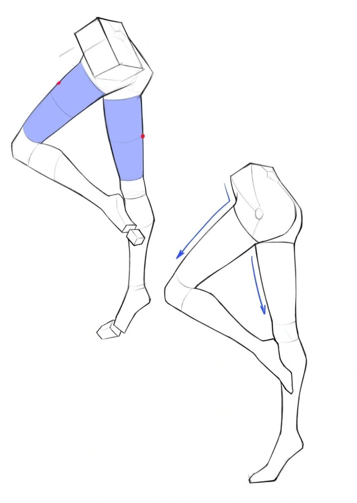 Thighs
