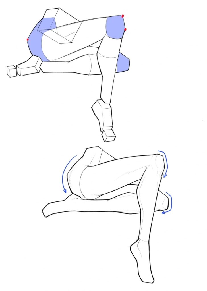 Thighs
